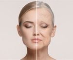 New Insights Into Ageing Revealed