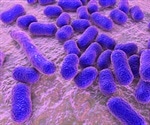 New Genomic Analysis Platform Launched for Tracking for Zoonotic Pathogens