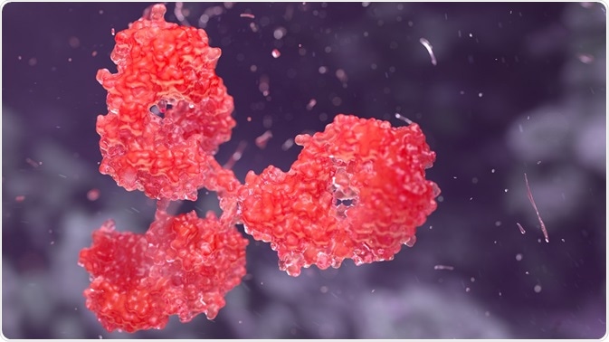 Antibodies