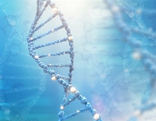 New Study Reveals Itaconate’s Crucial Functions in Plants