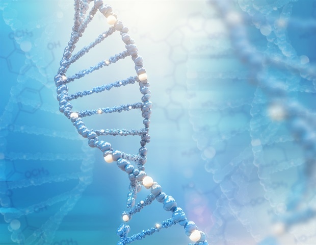 New Method Dissects Light Signaling and Heme Pathways in Chloroplast Formation