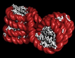 Parents transmit genetic and epigenetic information to their offspring