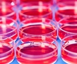 Epstein-Barr Virus Epigenome Targeted for Potential Cancer Treatment