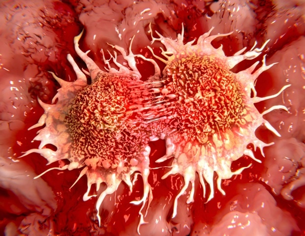 Exploring the Metabolic Pathways of Cancer Cells