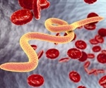 Researchers evaluate a new virus variant that hovers bees worldwide