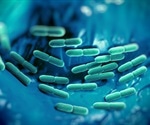 LMU physician explores the causes of high susceptibility to deadly infections in prematurely born babies