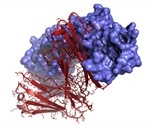 Mayo Clinic's strategic collaboration in biomanufacturing focuses on delivering novel biotherapeutics