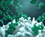 Improving Antibody Affinity Using CRISPR