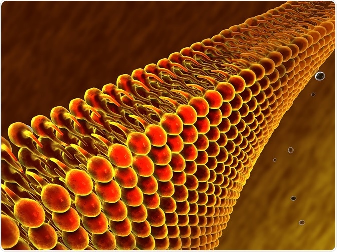lipidomics lipidomics