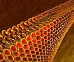 What is Shotgun Lipidomics?