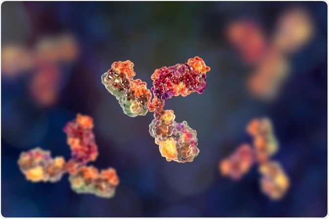 Antibodies