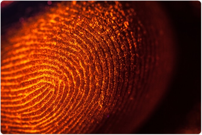 Image Credit: Roman Seliutin / Shutterstock