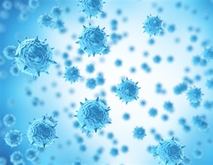 Researchers Uncover the FACT-ETS-1 Antiviral Response Pathway