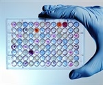 Researchers Unearth Powerful New Antibiotic from Soil
