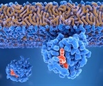 Groundbreaking Research Sheds Light on Mutant RAS and Cancer Progression