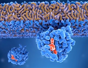 Groundbreaking Research Sheds Light on Mutant RAS and Cancer Progression