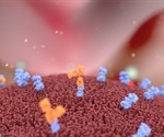 Fusion Proteins Offer New Path for Antibody Generation in Disease Research