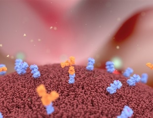 NIH Researchers Map Vulnerable Sites on Epstein-Barr Virus gp42 Protein