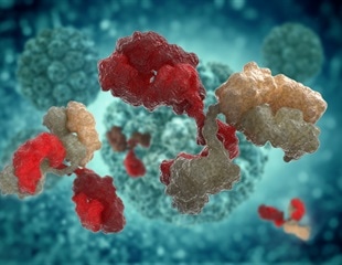 Fusion Proteins Offer New Path for Antibody Generation in Disease Research