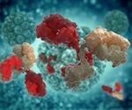 Seasonal human coronavirus antibodies not associated with protection against SARS-CoV-2