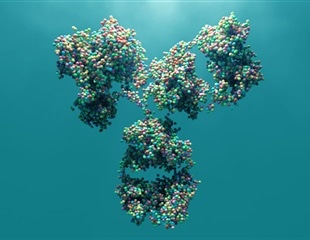 Dual Antibodies Found to Combat All SARS-CoV-2 Variants