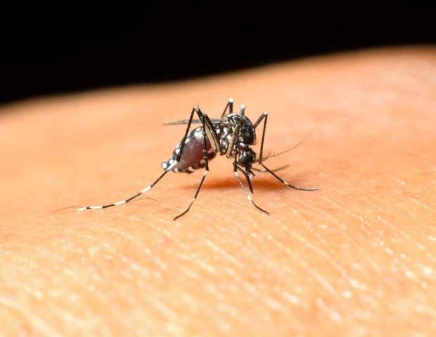 Delivering Health Equity in a Warming World