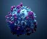 IL-12 Adjuvant Shows Promise in Boosting T-Cell Immunity