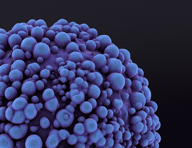 Exploring the Metabolic Pathways of Cancer Cells