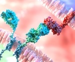 Study shows new potential target for CAR T cells to inhibit solid tumors