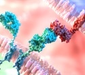 Novel T-Cell Engineering Strategy Prevents Deadly Osteosarcoma Lung Metastasis