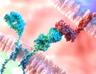 USC Engineers Develop EchoBack CAR T-Cells for Cancer Treatment