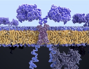 USC Engineers Develop EchoBack CAR T-Cells for Cancer Treatment