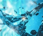 Reciprocal Regulatory Link Between ecDNA Maintenance and DNA Damage Response Revealed