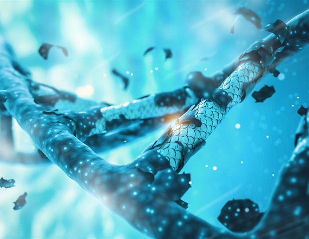 Salk Researchers Uncover Specialized Plant Protein for DNA Repair