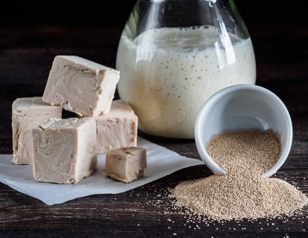 Uncoupling Nucleotide Synthesis: A Yeast-Derived Solution for Mitochondrial Disease