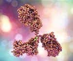 Dual Antibodies Found to Combat All SARS-CoV-2 Variants