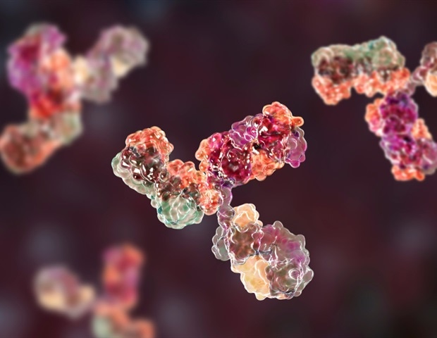 Genetic Differences Can Undermine Antibody-Based Therapies