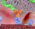 New approach is more effective in treating certain blood cancers