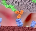 New Cell Therapy Modifies Natural Killer Cells Against Cancer