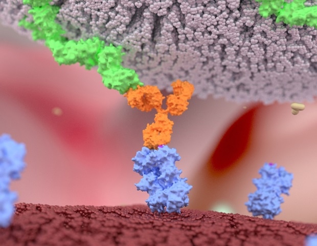 New Cell Therapy Modifies Natural Killer Cells Against Cancer