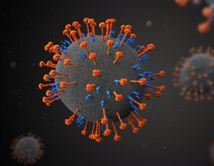 Cryo-EM Reveals 3D Structure of Nipah Virus RNA Polymerase