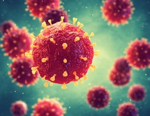 Researchers Uncover the FACT-ETS-1 Antiviral Response Pathway
