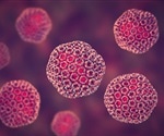Researchers identify host entry factor for Rift Valley fever virus