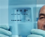 blotRig Tool Transforms Western Blot Design and Statistical Analysis for Reproducibility