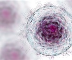 New type of stem cell with regenerative abilities could soon become a reality