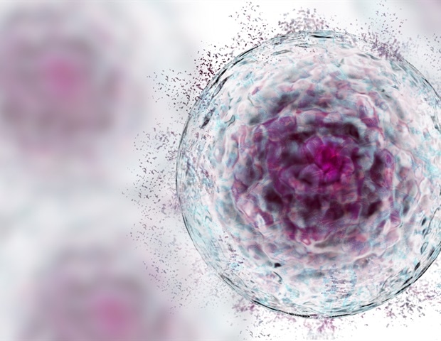 Aligned Stem Cell Sheets Show Boosted Healing Potential