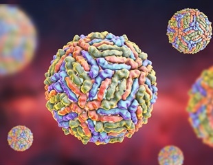 Flavivirus Hijacks Importin-7 for Nuclear Transport and Replication
