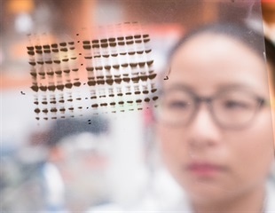 blotRig Tool Transforms Western Blot Design and Statistical Analysis for Reproducibility