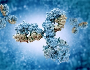 Fusion Proteins Offer New Path for Antibody Generation in Disease Research