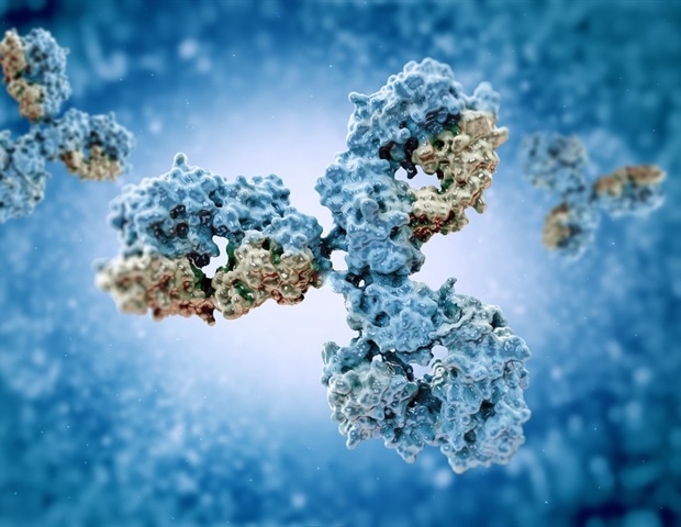 Genetic Differences Can Undermine Antibody-Based Therapies